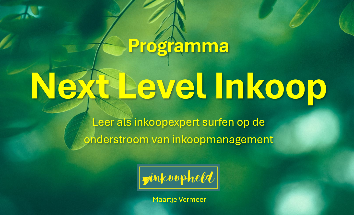 Programma Next Level Inkoop